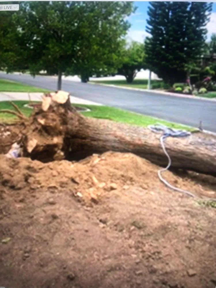 Custom garden landscaping with custom design in Riverside, CA by Pacific Crest Landscape