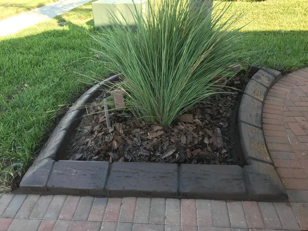 Professional yard maintenance experts serving Land O Lakes, FL - Pacific Curbing