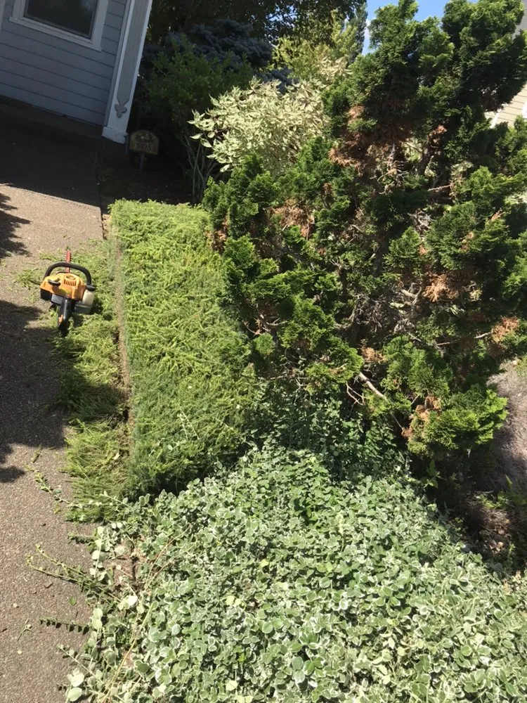 Local landscape installation in Portland, OR - Pacific Cut Lawn Care