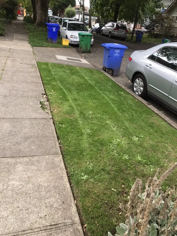 Top-rated yard cleanup service for residential properties across Portland, OR - Pacific Cut Lawn Care