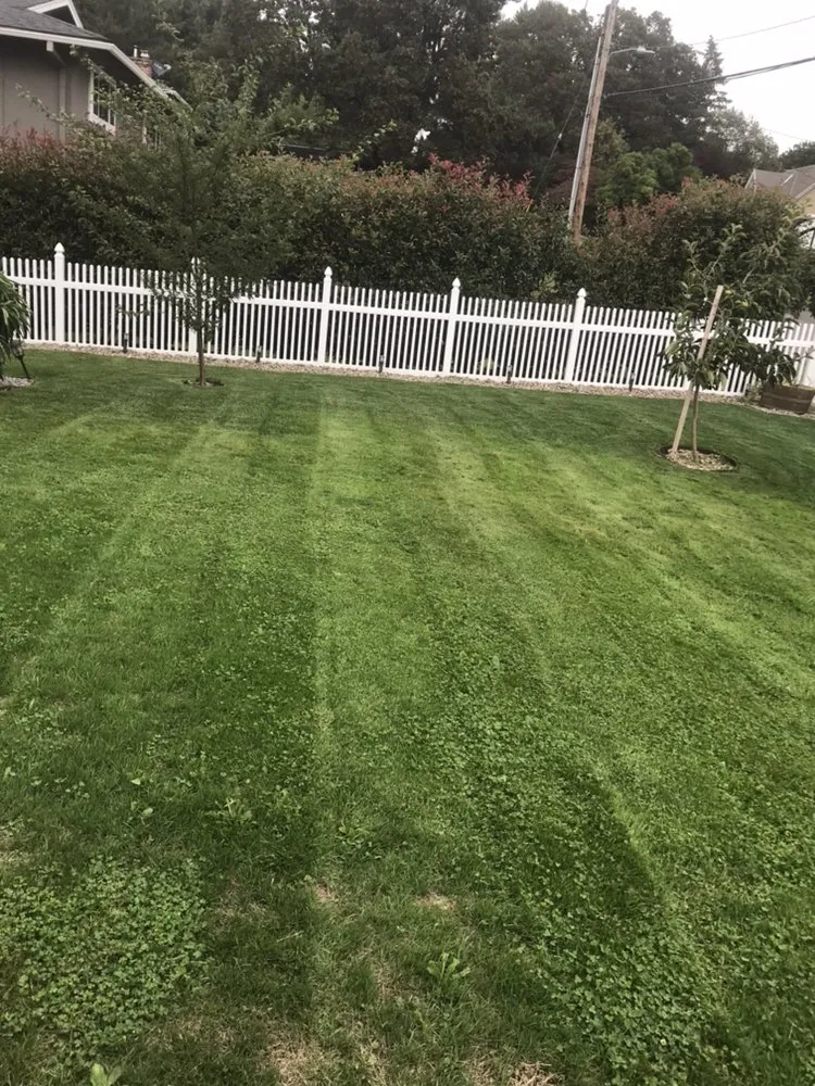 Trusted yard maintenance in Portland, OR - Pacific Cut Lawn Care