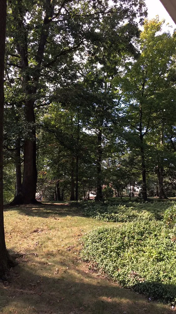 Affordable landscape design with custom design across Las Vegas, NV - Pacific Desert Green