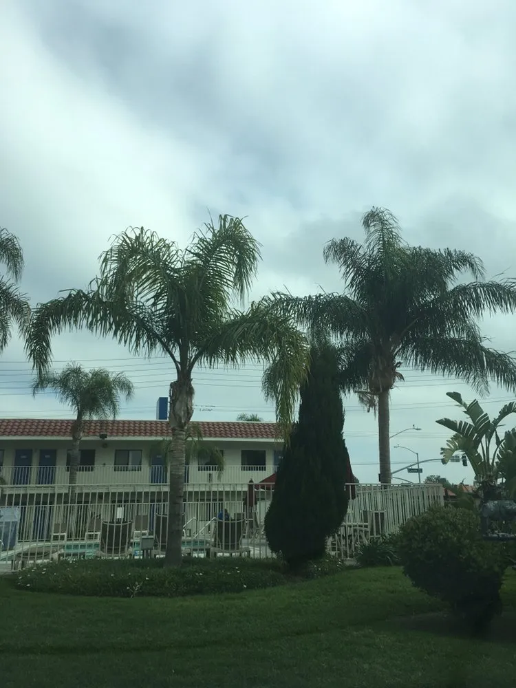 Custom landscape design for outdoor upgrades across Las Vegas, NV - Pacific Desert Green