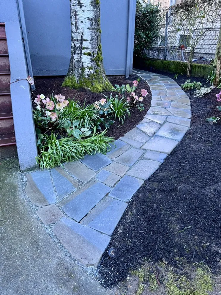 Custom yard maintenance in Edmonds, WA by Pacific Fern Designs