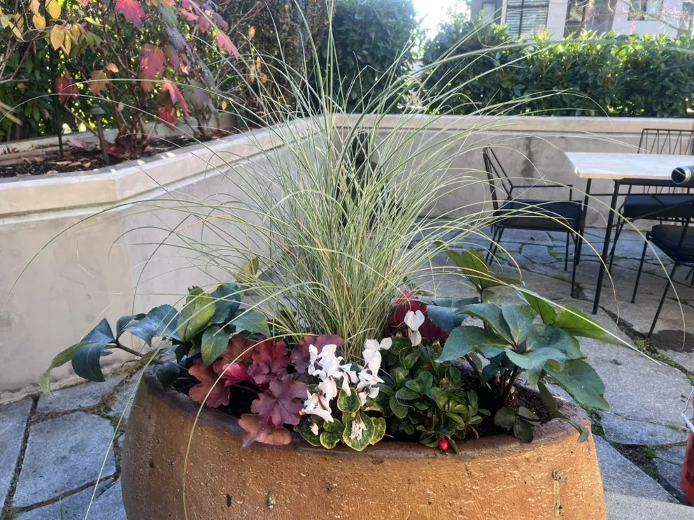 Top-rated outdoor landscaping with custom design across Edmonds, WA - Pacific Fern Designs