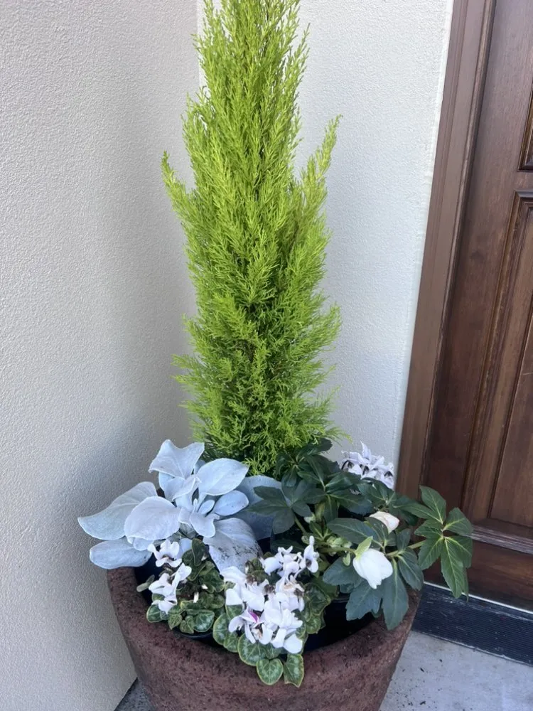 Expert lawn mowing service experts serving Edmonds, WA - Pacific Fern Designs