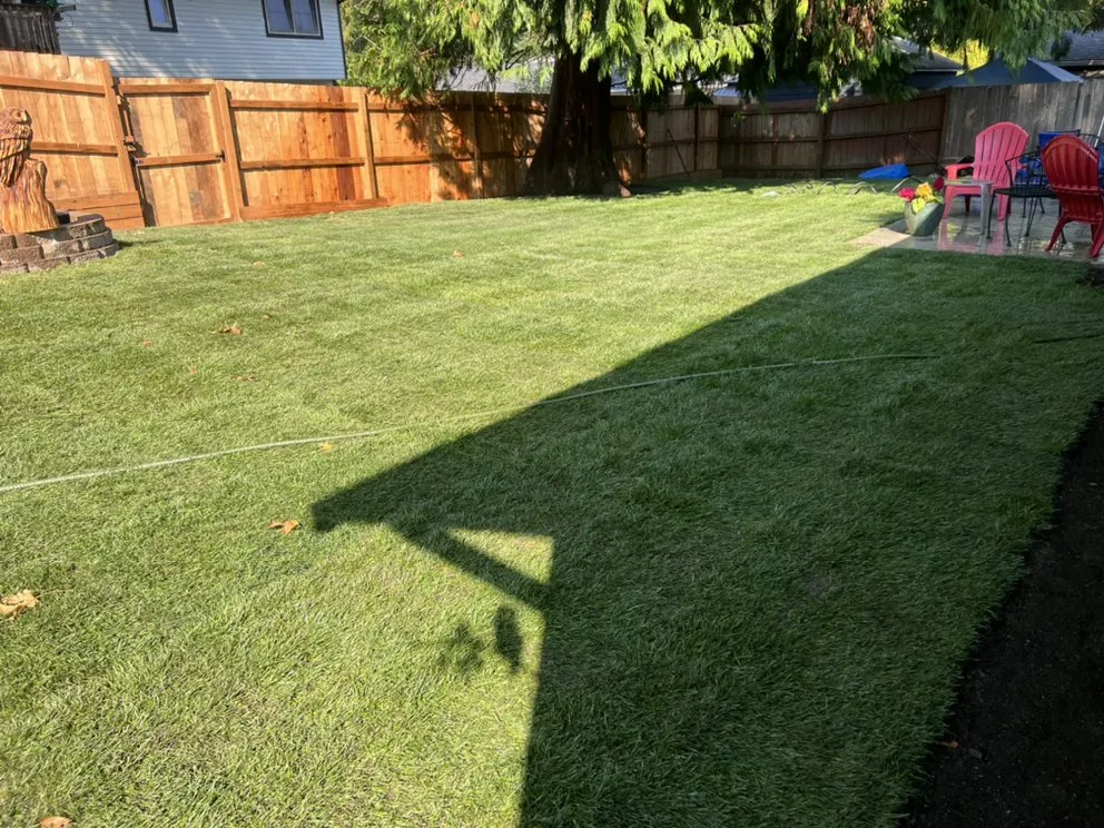 Trusted residential landscaping experts serving Edmonds, WA - Pacific Fern Designs