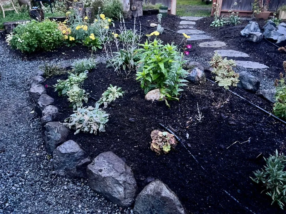 Affordable lawn care service in Edmonds, WA - Pacific Fern Designs