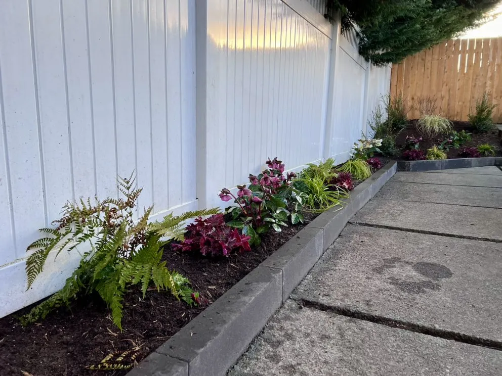 Reliable yard cleanup service for year-round maintenance in Edmonds, WA by Pacific Fern Designs