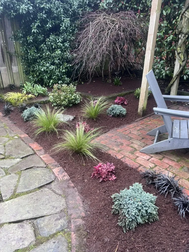Custom yard cleanup service for year-round maintenance in Edmonds, WA by Pacific Fern Designs