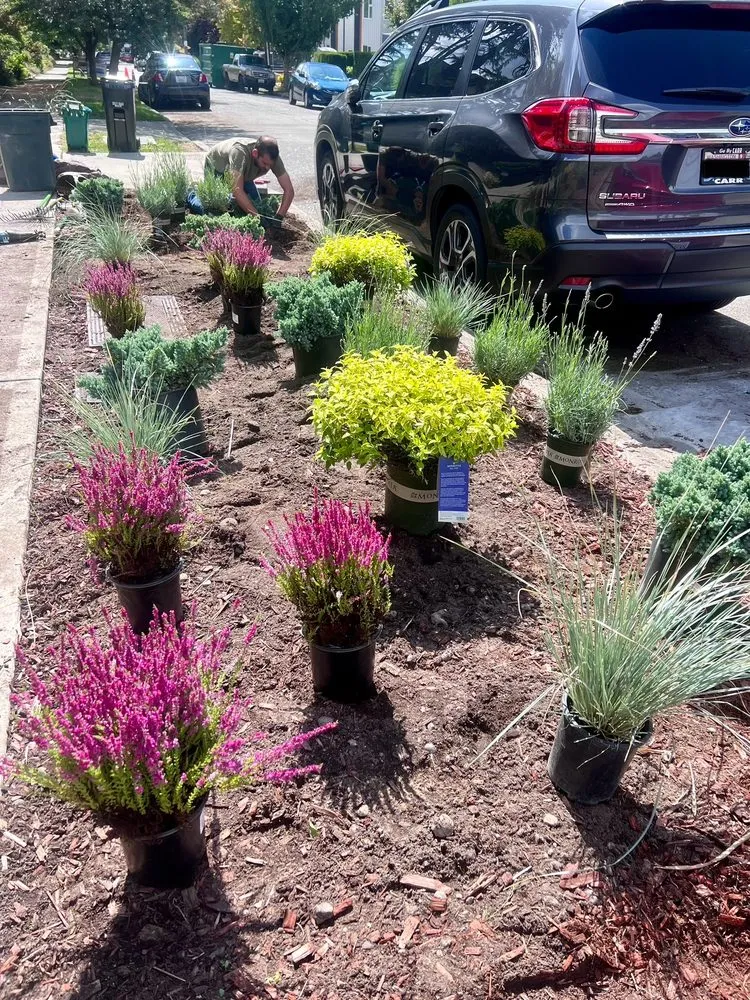 Professional yard maintenance experts serving Edmonds, WA - Pacific Fern Designs