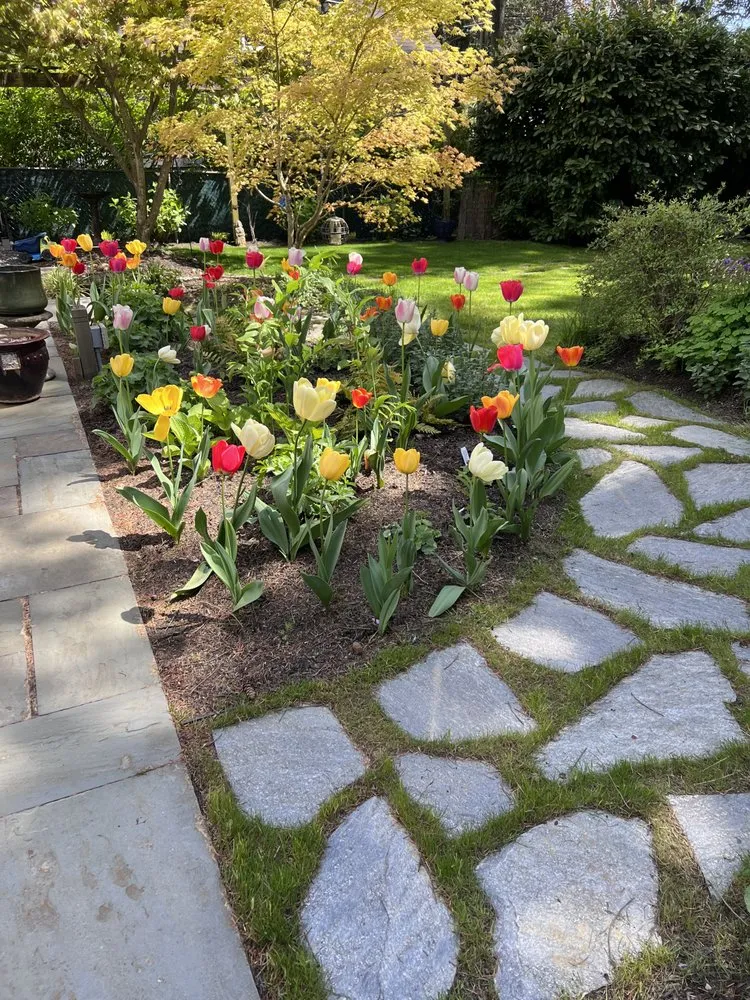 Top-rated outdoor landscaping in Edmonds, WA - Pacific Fern Designs