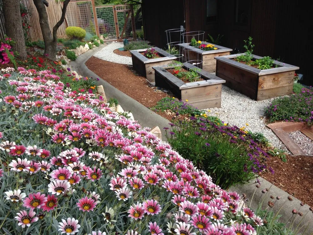 Affordable lawn care service in San Rafael, CA - Pacific Garden Artistry