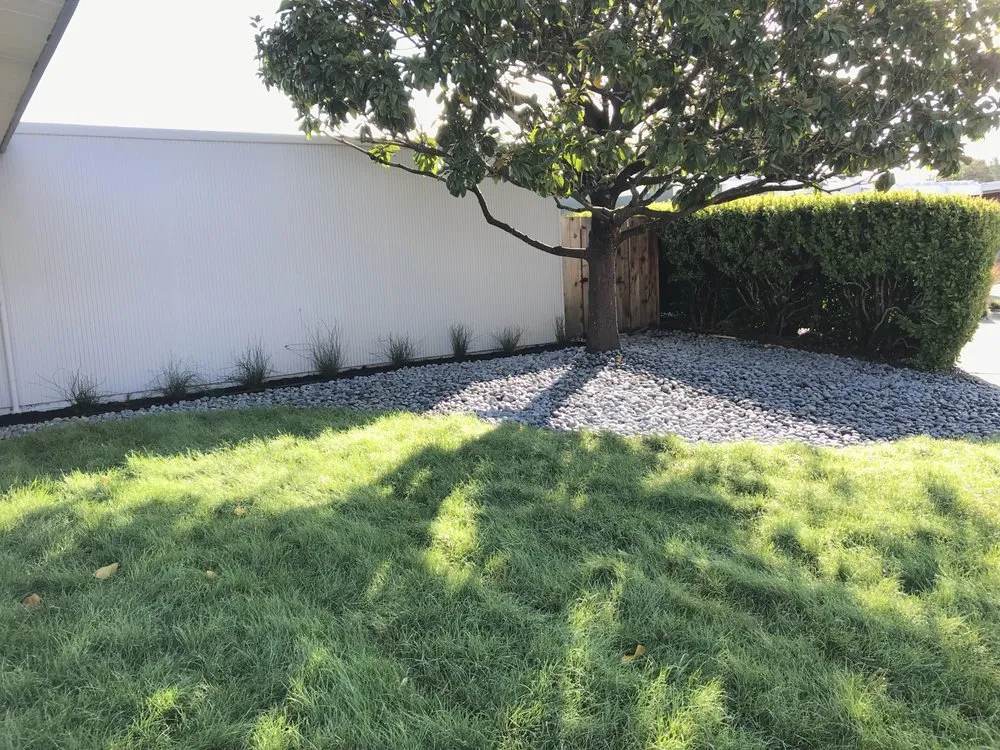 Local landscape installation for beautiful yards in San Rafael, CA by Pacific Garden Artistry