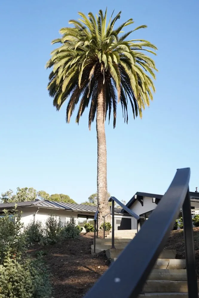 Top-rated yard maintenance in Santa Barbara, CA by Pacific Green Construction Landscape