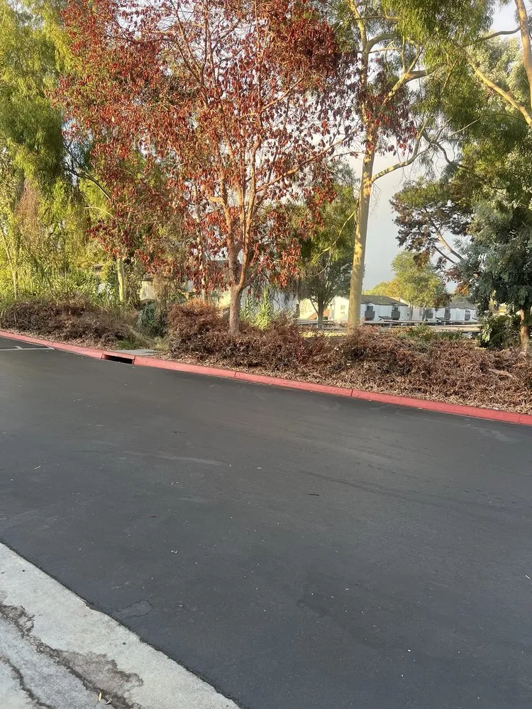 Affordable yard maintenance for homes in Lakeside, CA by Pacific Green Landscape