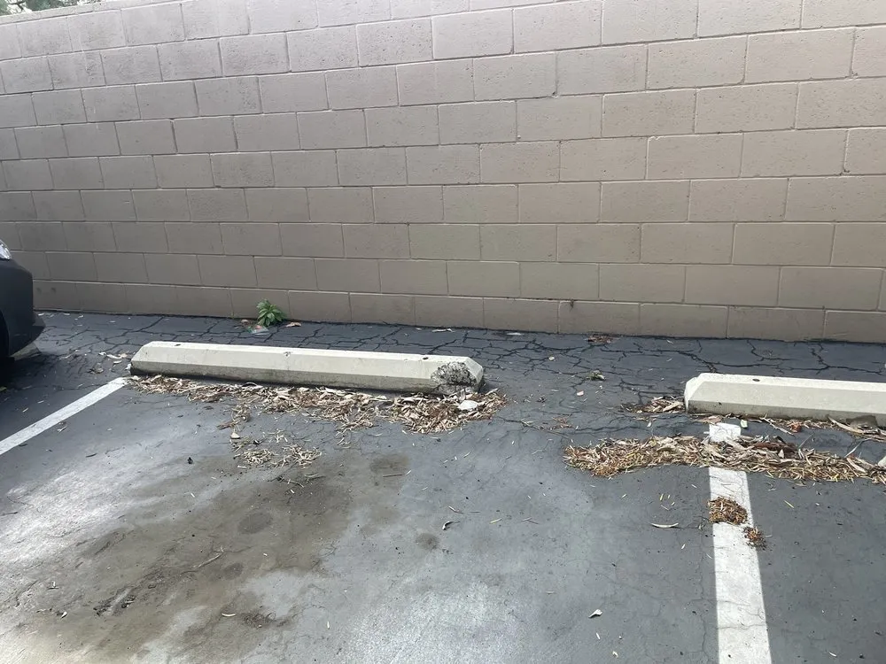 Top-rated outdoor landscaping for beautiful yards across Lakeside, CA - Pacific Green Landscape