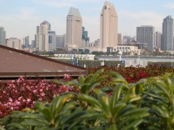 Reliable garden landscaping for year-round maintenance across Lakeside, CA - Pacific Green Landscape