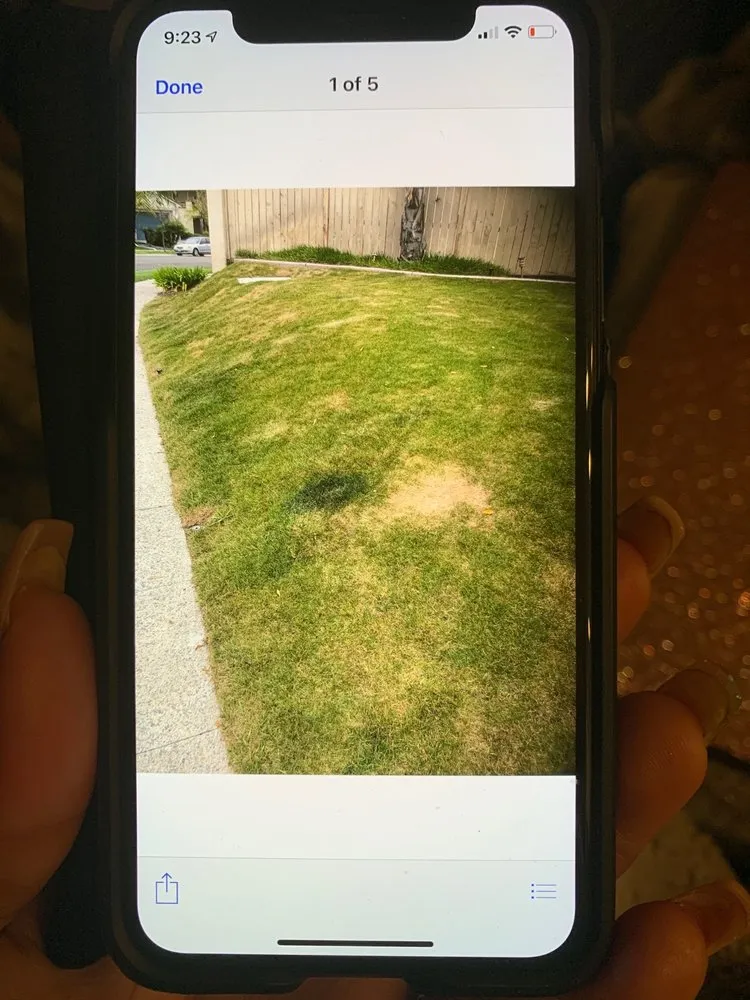 Top-rated yard cleanup service for homes across Lakeside, CA - Pacific Green Landscape