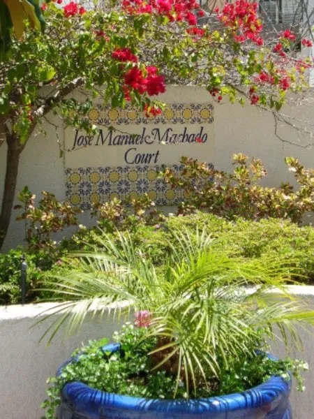 Custom outdoor landscaping in Lakeside, CA by Pacific Green Landscape