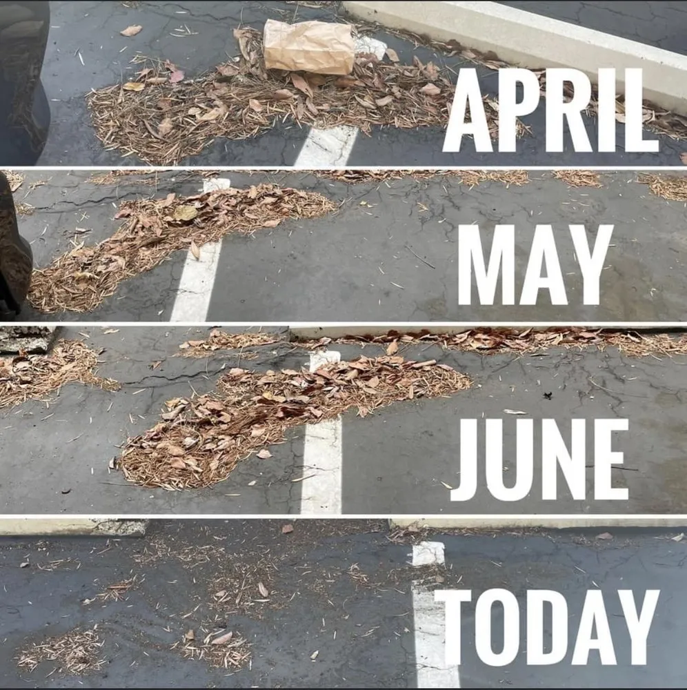 Trusted outdoor landscaping in Lakeside, CA by Pacific Green Landscape