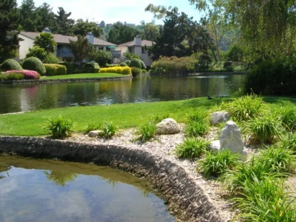 Custom lawn care service for residential properties in Lakeside, CA by Pacific Green Landscape