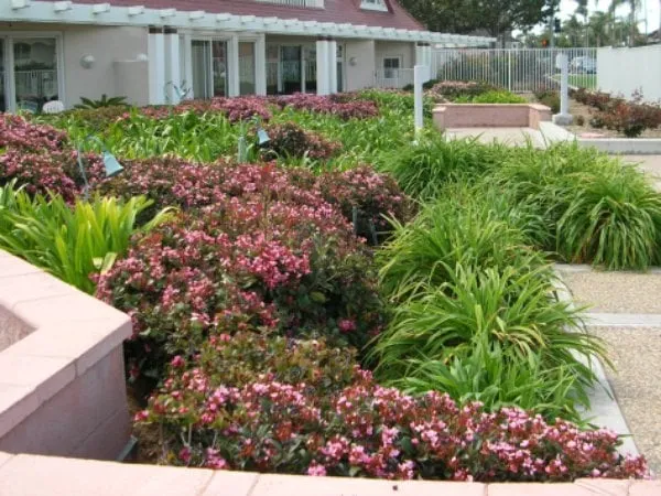 Local garden landscaping in Lakeside, CA by Pacific Green Landscape