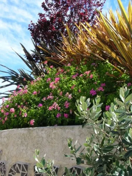 Trusted outdoor landscaping for year-round maintenance in Lakeside, CA by Pacific Green Landscape