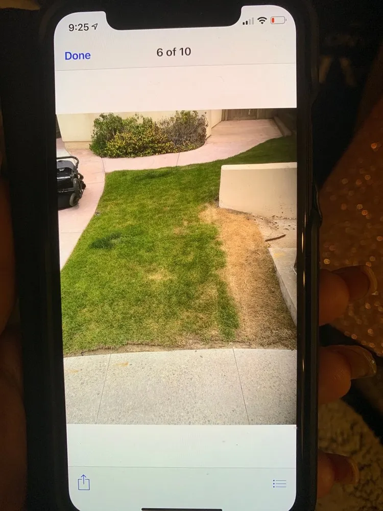 Expert yard maintenance in Lakeside, CA by Pacific Green Landscape