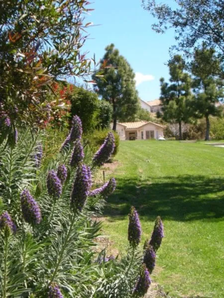 Custom garden landscaping in Lakeside, CA by Pacific Green Landscape