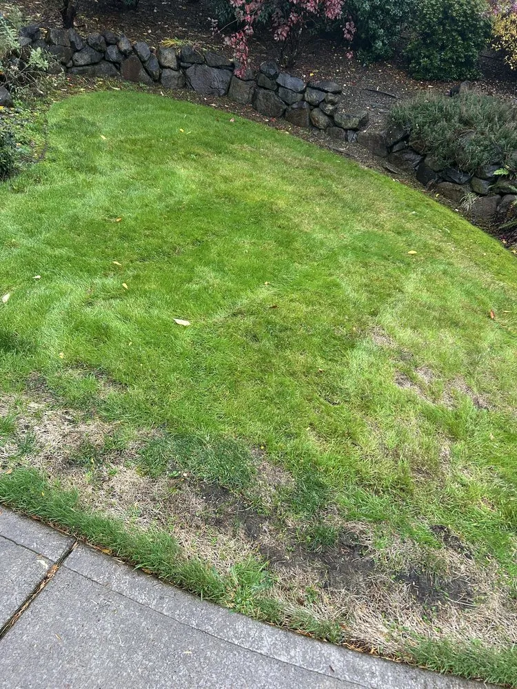 Expert landscape installation for residential properties across Vancouver, WA - Pacific Green Services