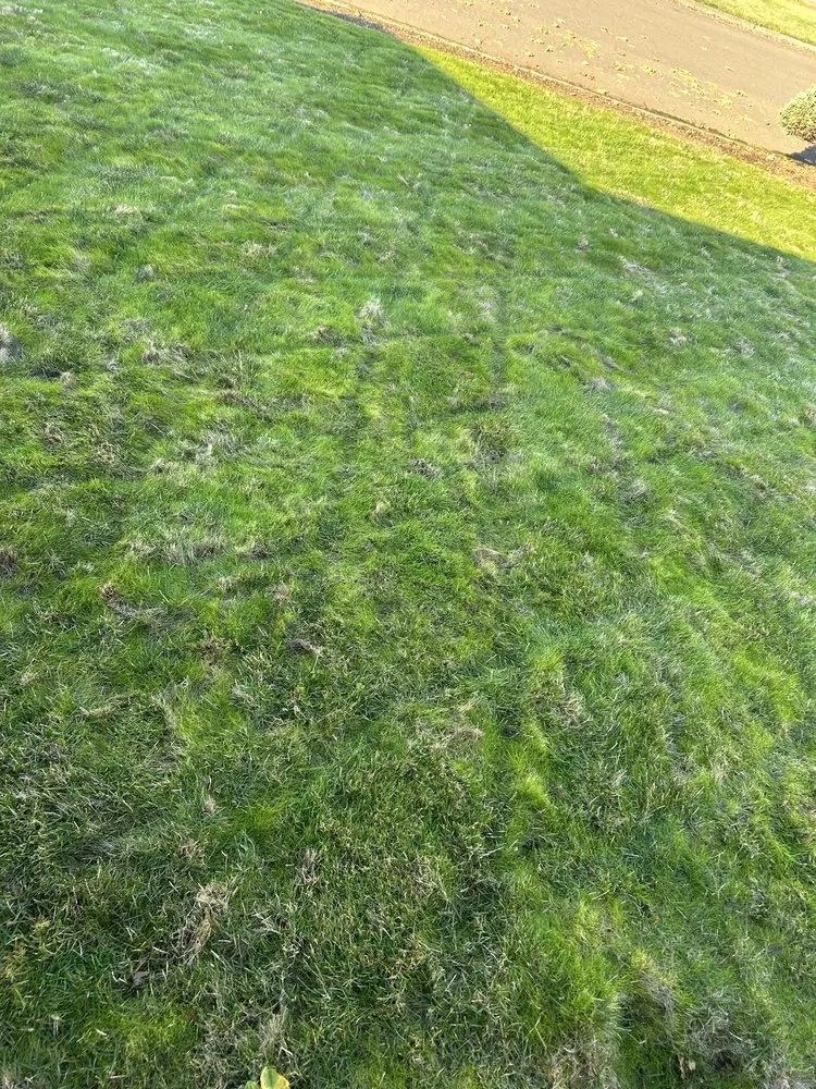 Local outdoor landscaping with custom design in Vancouver, WA by Pacific Green Services