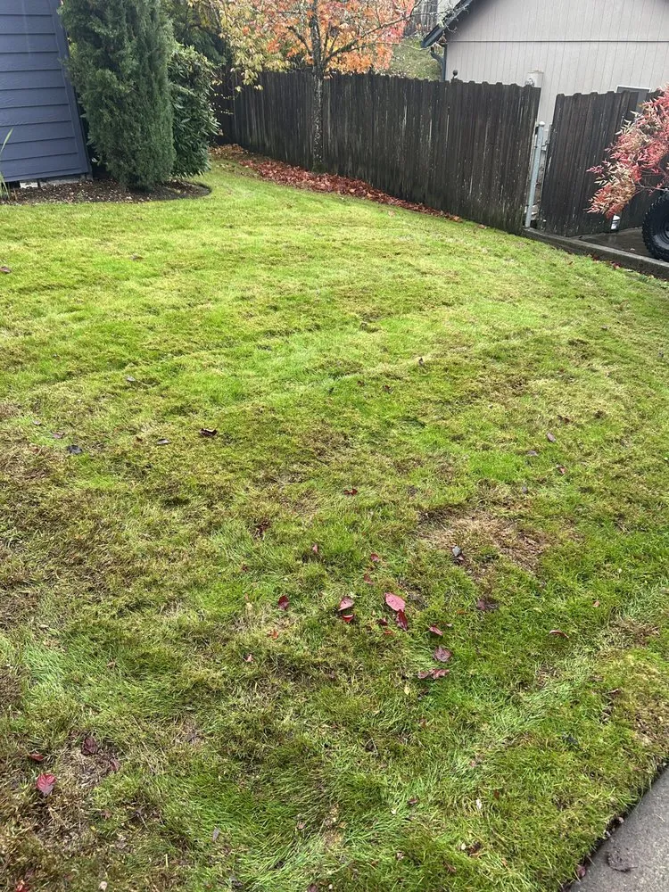 Expert lawn mowing service in Vancouver, WA by Pacific Green Services