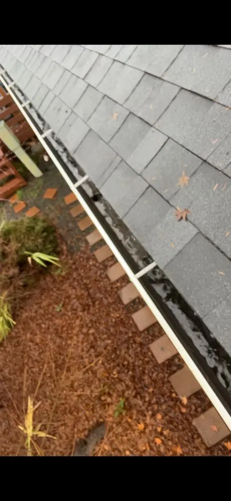 Custom yard cleanup service experts serving Vancouver, WA - Pacific Green Services