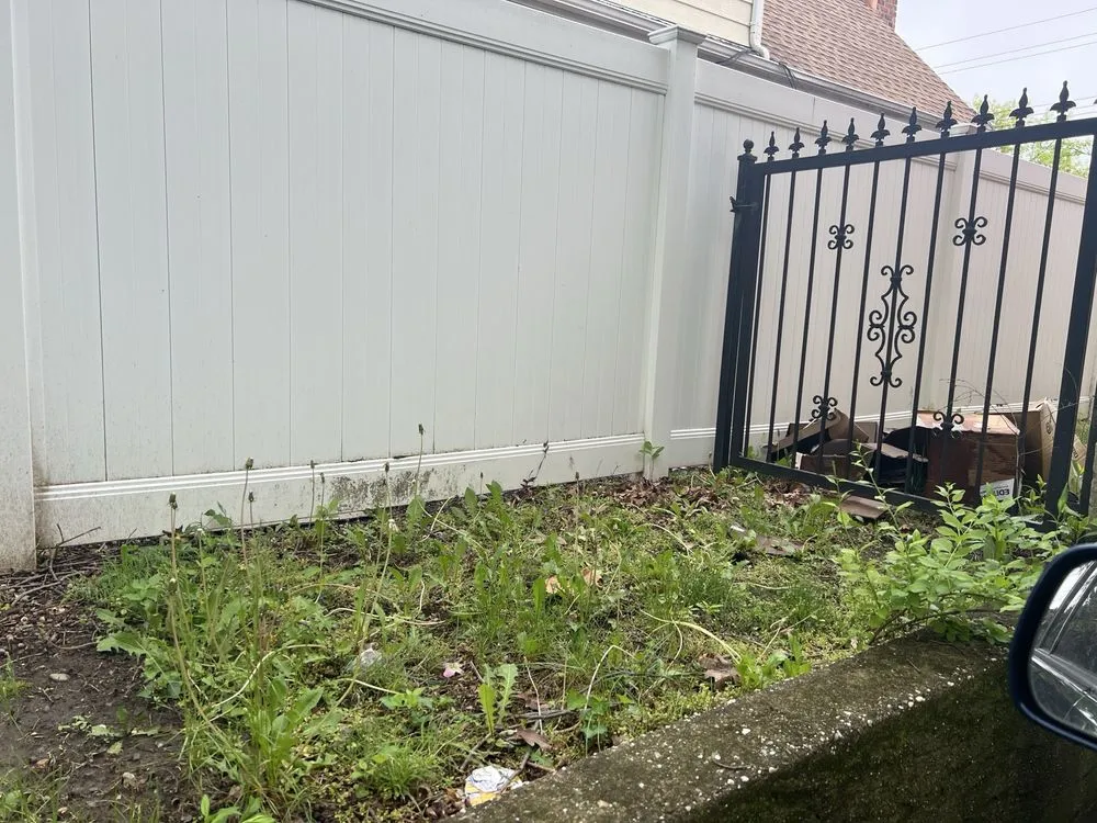 Affordable lawn care service in Mount Vernon, NY by Pacific Horizon Landscape