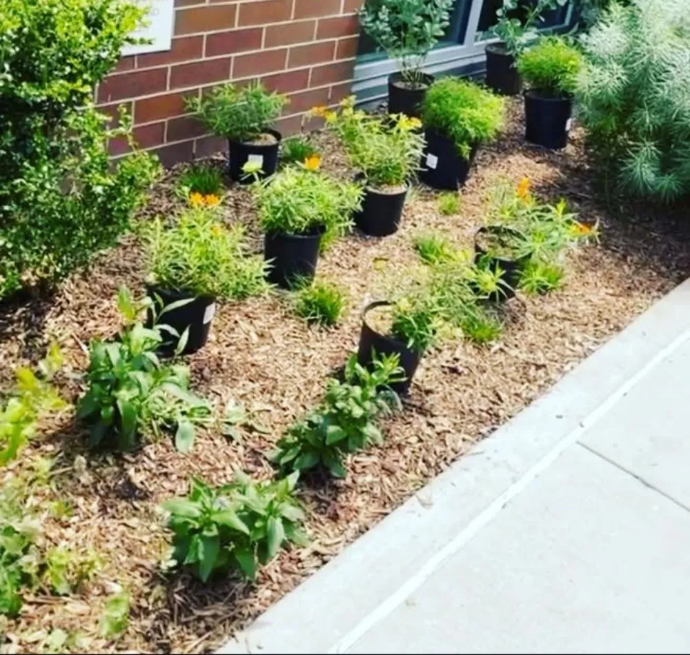 Top-rated yard maintenance with custom design in Mount Vernon, NY by Pacific Horizon Landscape