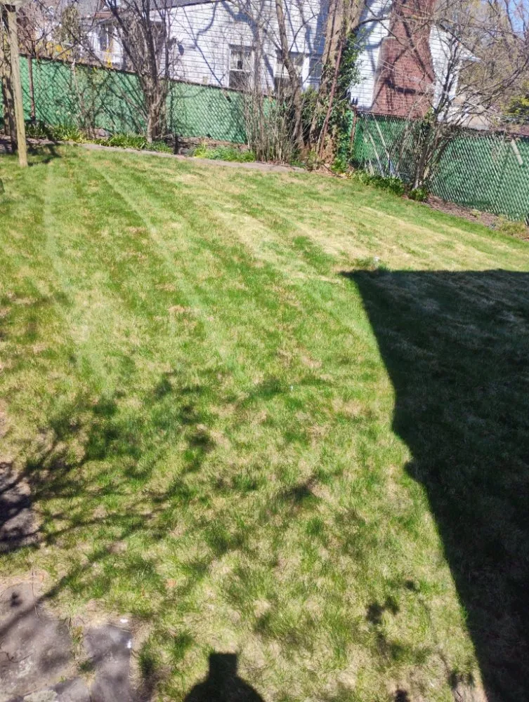 Trusted landscape installation experts serving Mount Vernon, NY - Pacific Horizon Landscape