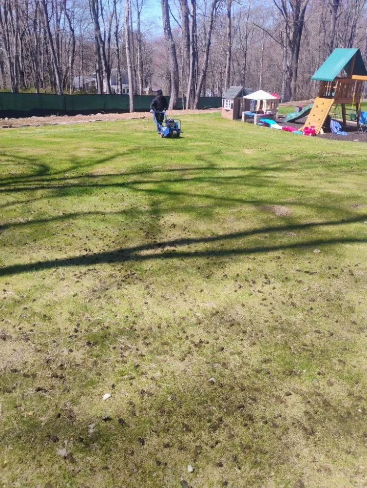 Trusted lawn care service in Mount Vernon, NY by Pacific Horizon Landscape