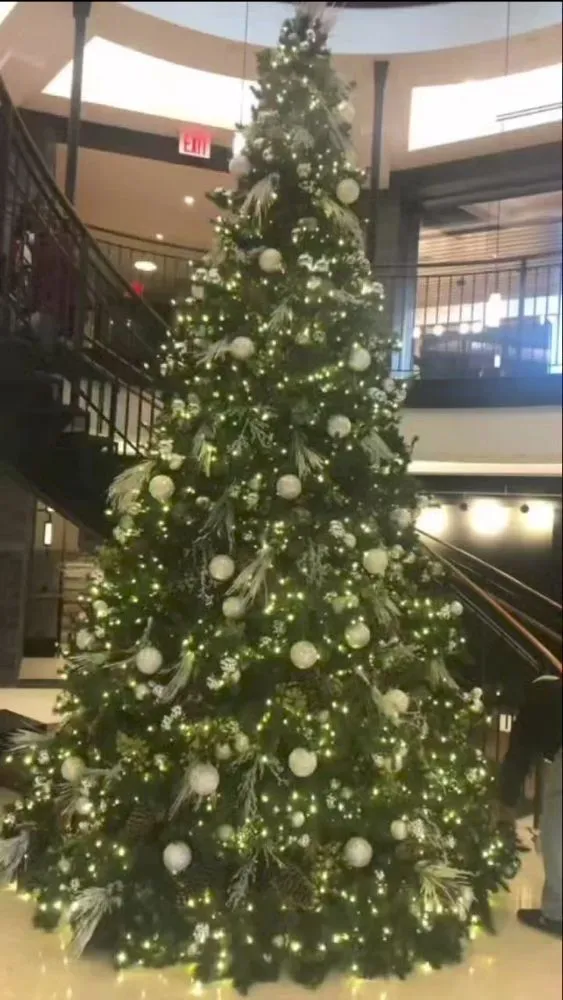 Custom landscaping services for outdoor upgrades across Mount Vernon, NY - Pacific Horizon Landscape