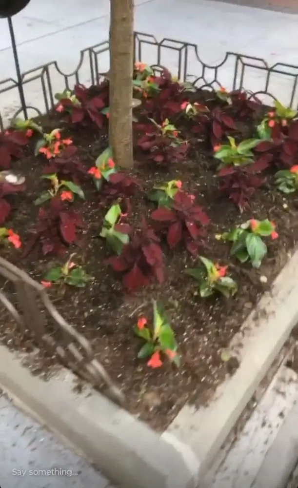 Expert outdoor landscaping for year-round maintenance across Mount Vernon, NY - Pacific Horizon Landscape