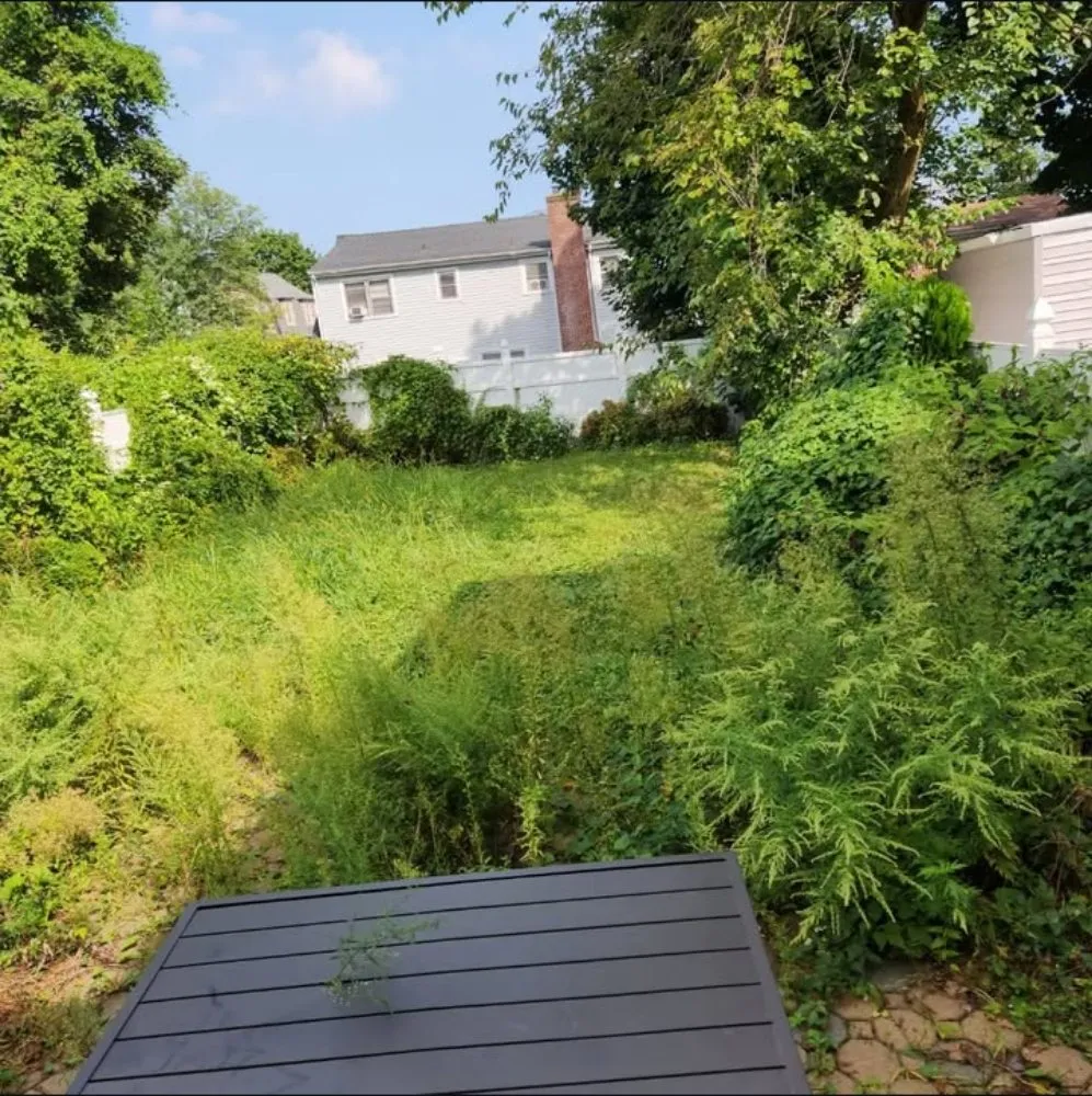 Trusted landscape design for residential properties in Mount Vernon, NY by Pacific Horizon Landscape