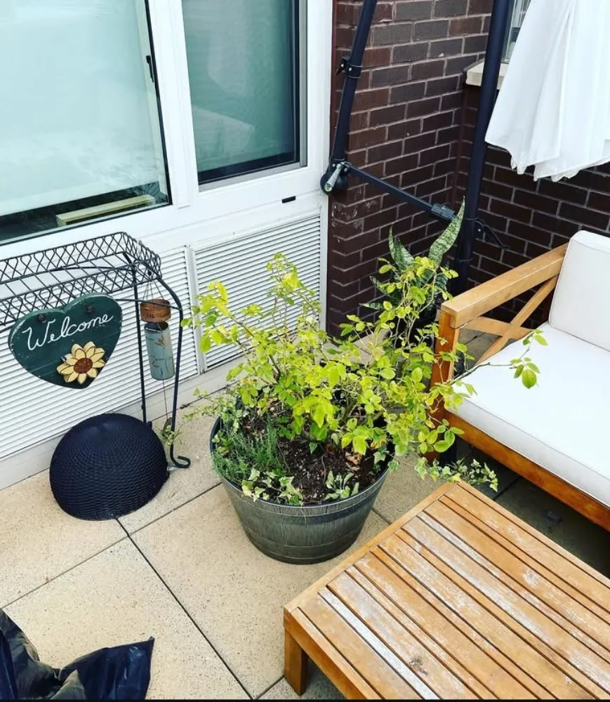 Expert outdoor landscaping in Mount Vernon, NY - Pacific Horizon Landscape