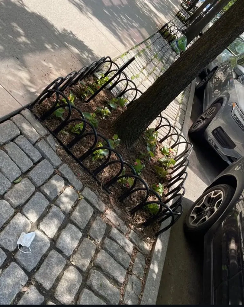 Affordable yard maintenance for year-round maintenance across Mount Vernon, NY - Pacific Horizon Landscape