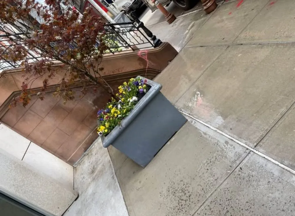 Custom lawn care service for year-round maintenance in Mount Vernon, NY by Pacific Horizon Landscape