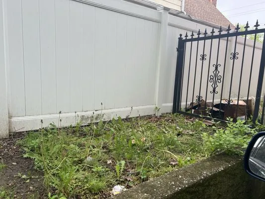 Pacific Horizon Landscape