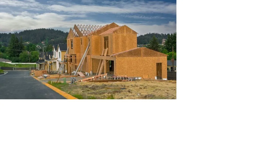 Expert yard cleanup service experts serving San Diego, CA - Pacific Horizon SD