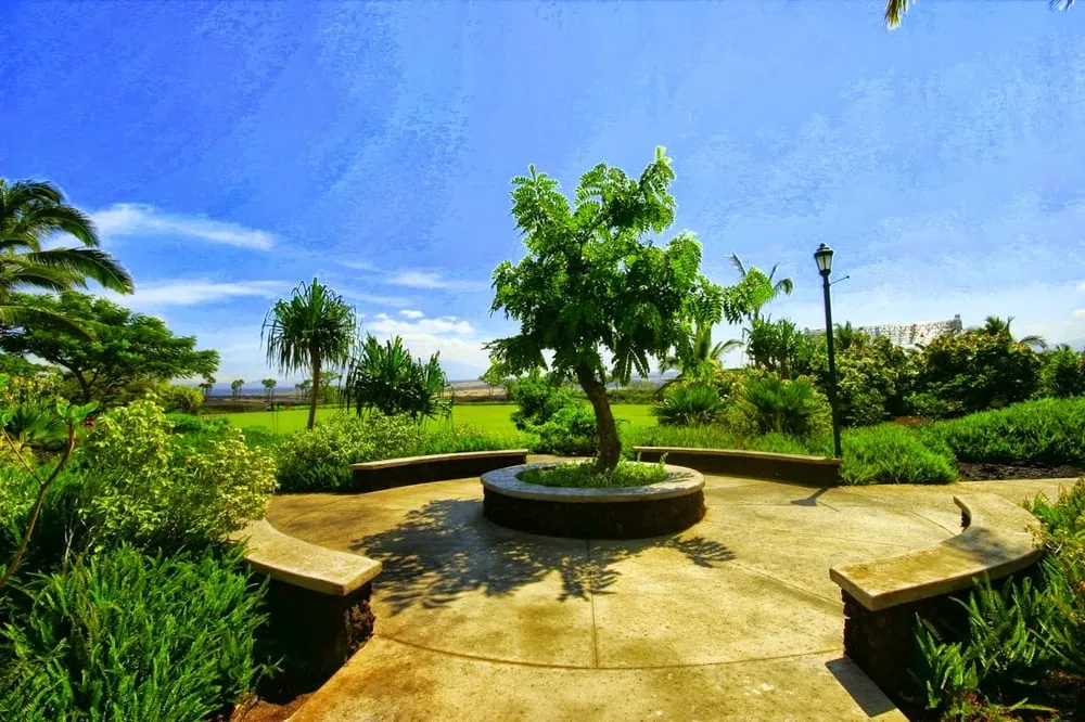 Expert residential landscaping for beautiful yards in Kailua Kona, HI by Pacific Kona Landscaping Inc