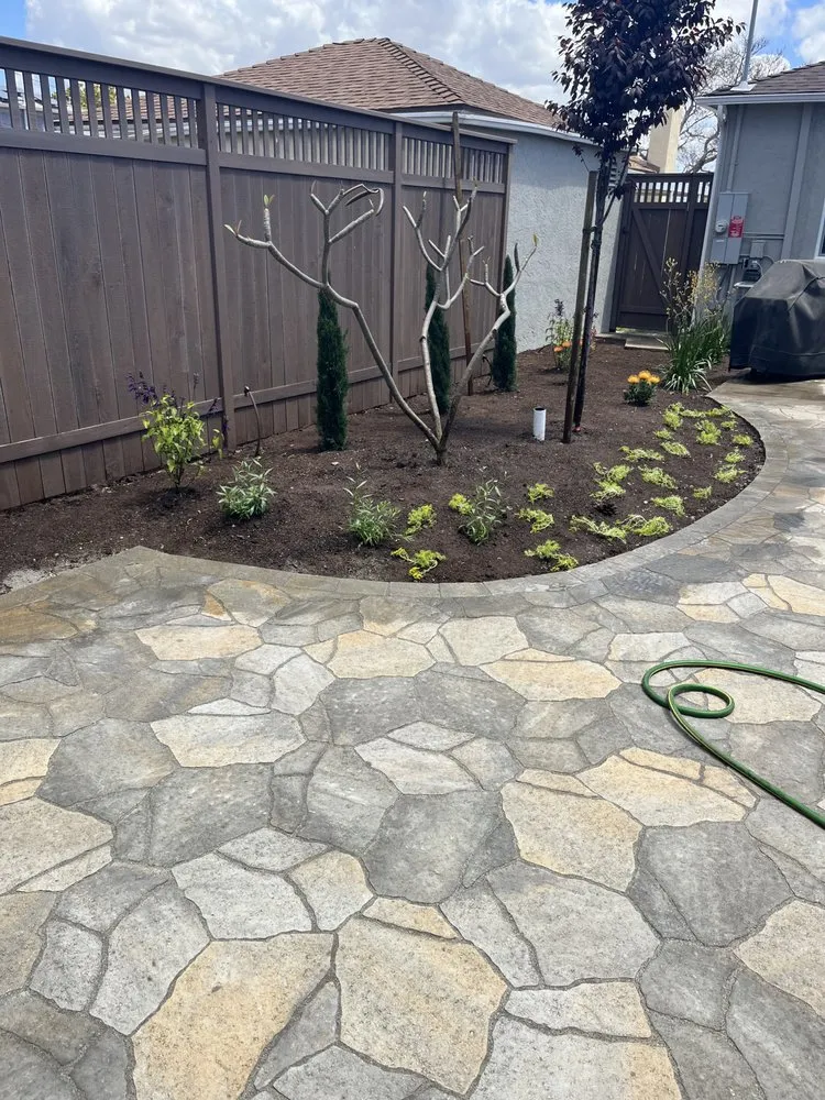 Affordable garden landscaping in Bonita, CA - Pacific Landcare Design
