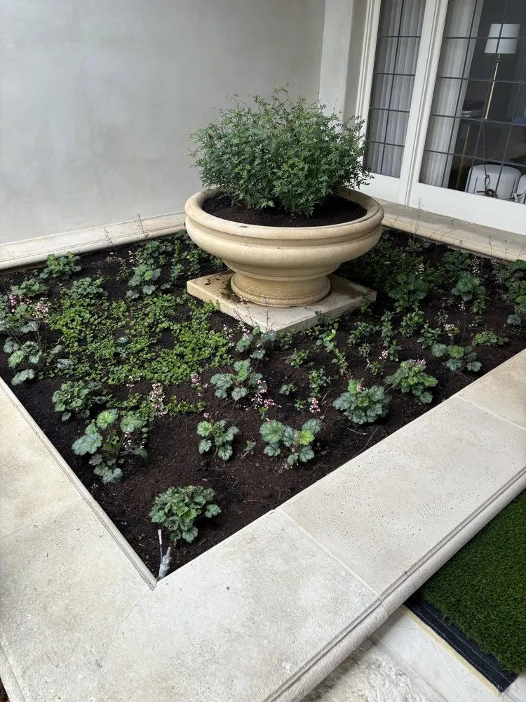 Trusted outdoor landscaping with custom design in Bonita, CA by Pacific Landcare Design