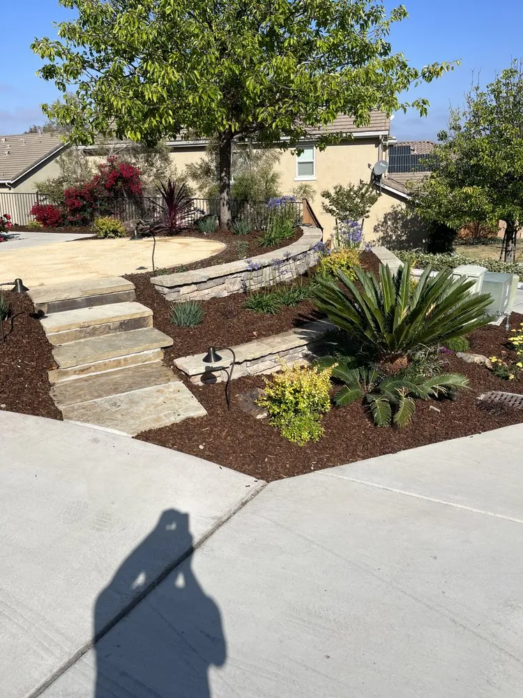Local yard maintenance in Bonita, CA - Pacific Landcare Design